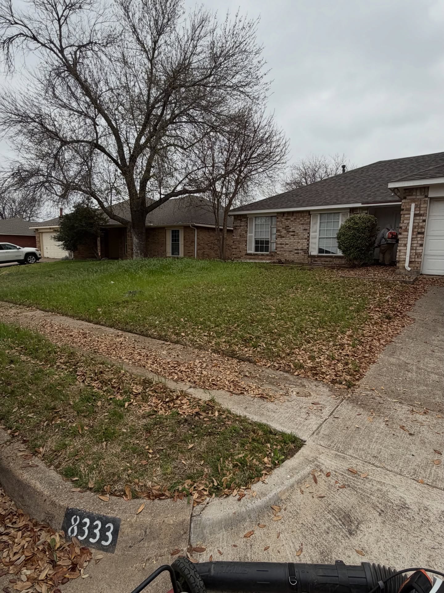 Front yard before lawn service