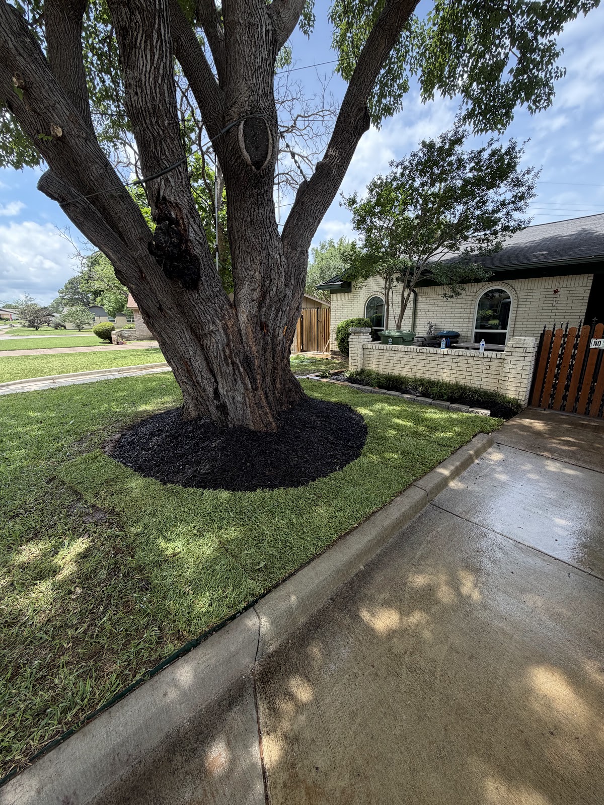 Olvera's Lawn Service project 5